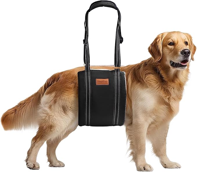 Dog Lift Harness for Large Dogs, Adjustable Comfortable Dog Sling with Handle, Knee & Rear Leg Support for Torn ACL Rehabilitation, Weak Rear Legs, Helps Senior, Disabled Canines(Black,XL)