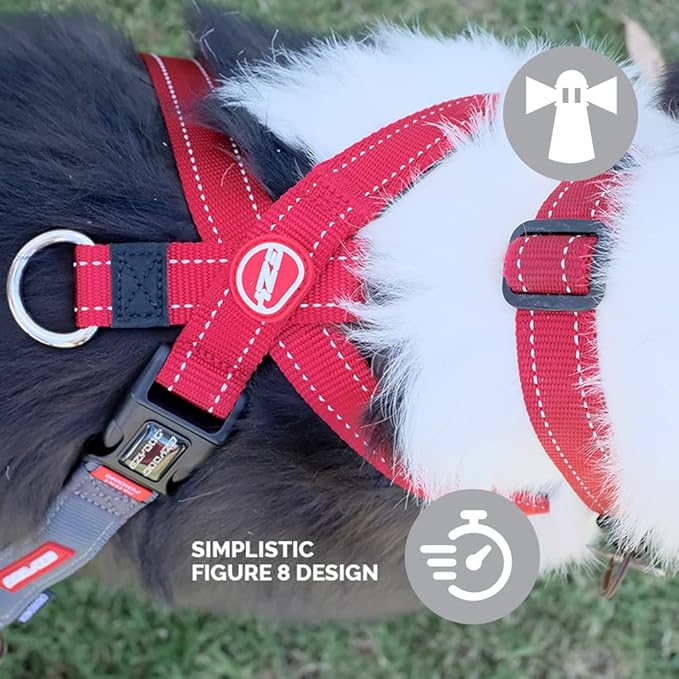 EzyDog Crosscheck No Pull Dog Training Harness – 2-in-1 Escape Proof Reflective Dog Harness for Easy Controlled Walks (XL, Black)