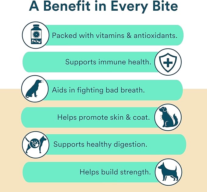 Benefit Biscuits, All Natural Dog Treats, Certified Vegan, Non GMO, Wheat Free, Healthy Dog Biscuits, Made in USA (Mint, 7oz Bag)