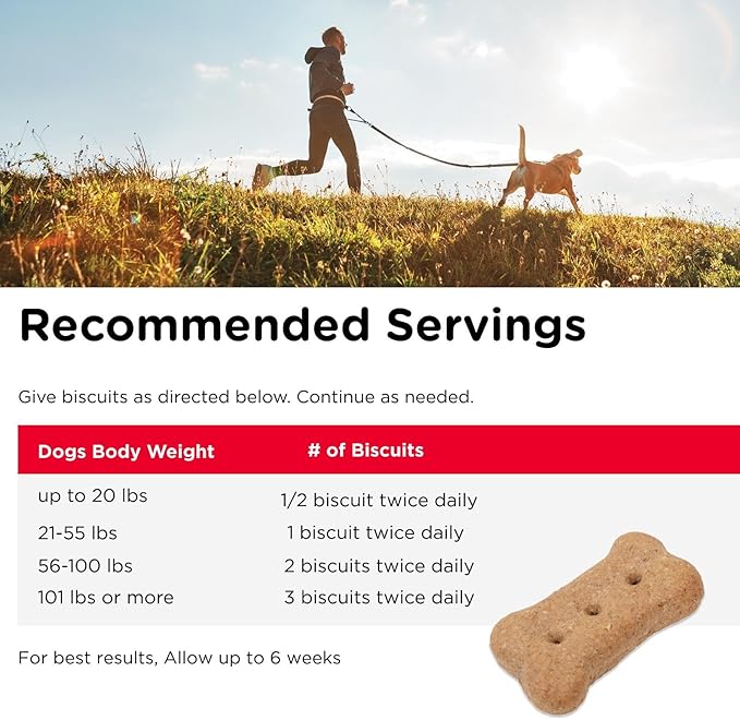 Nutri-Vet Hip & Joint Biscuits, Dog Joint Supplement, Dog Treat, Small Sized Biscuit with 166mg Glucosamine, Puppy Supplements, Tasty Glucosamine Treat, Puppy Essentials, 16 oz (Pack of 2)