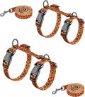 Halypet 2-Pack Cat Harness and Leash Set, Escape Proof 3-in-1 Adjustable Harness for Cats, Soft Lightweight, Easy On & Control for Walking, Travel & Outdoor Use, Vibrant Leopard Orange, Medium