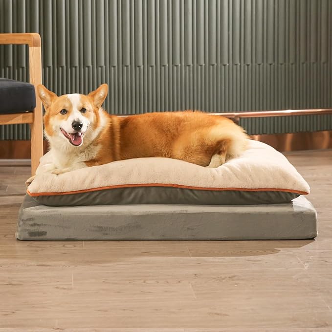 Amazon Basics Washable Dog Bed with Cooling Gel Memory Foam, Pressure-Relief Support for Dogs up to 120lbs, Non-Slip Bottom, Removable Cover, Giant Sized (48" x 36"), Grey