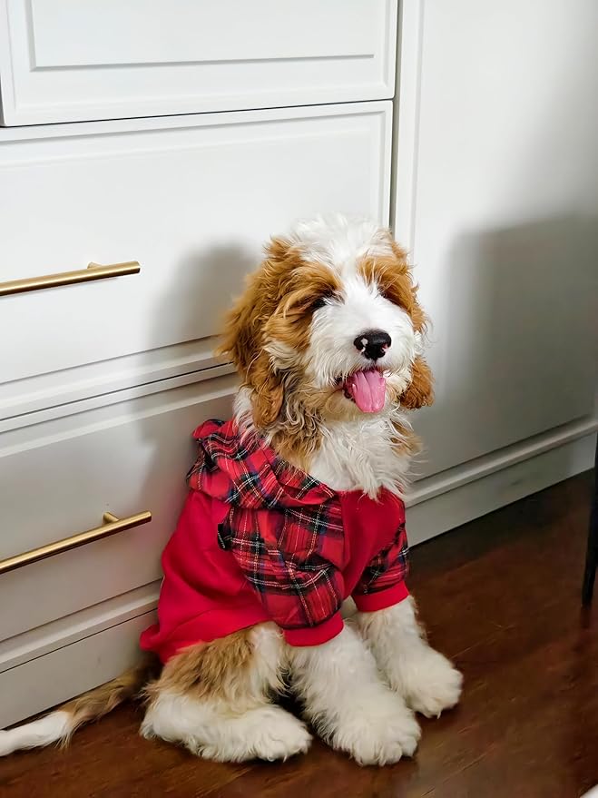 Fitwarm Tartan Plaid Dog Hoodie, Dog Clothes for Small Dogs Girl Boy, Pet Sweatshirt with Hood, Cat Winter Outfit, Red, Green, Small