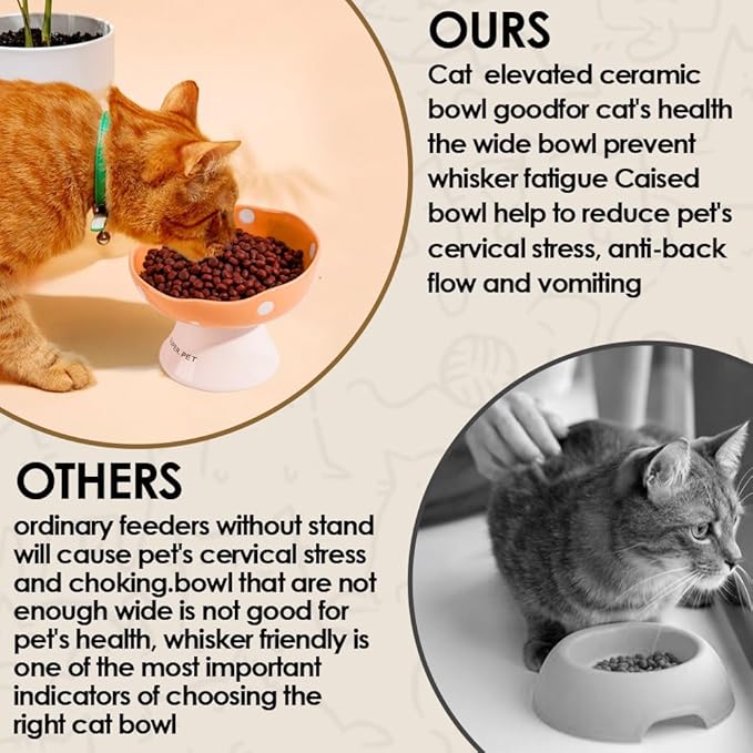 Ceramic Elevated Cat Bowls, Tilted Raised Pet Dish Anti Vomit Kitten Bowl for Indoor Cats, Whisker Friendly Pet Food and Water Bowl for Kitten, Cat, Puppies, Dishwasher Safe (Orange)