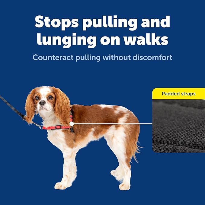 PetSafe Deluxe Easy Walk Harness - Trainer-Trusted Dog Chest Harness with Breathable Martingale Loop Design - Helps Stop Pulling with No Choking & Gagging - Small - Rose