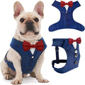 AVERYDAY Dog Tuxedo for Wedding Outfit, Dog Suit and Tie Costumes for Birthday, Halloween, Cosplay, Christmas Party, Pet Formal Wear with Bowtie, Tux for Medium Large Dogs, Bulldog, Labrador, Husky