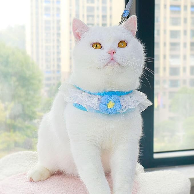 Cat Harness Collar and Leash Set, Sweet Lace Floral Kitten Collar, Escape Proof Puppy Chest Harness, Adjustable Cute Harness Leash Set for Cat Puppy Dog Outdoor Walking (Blue, M)