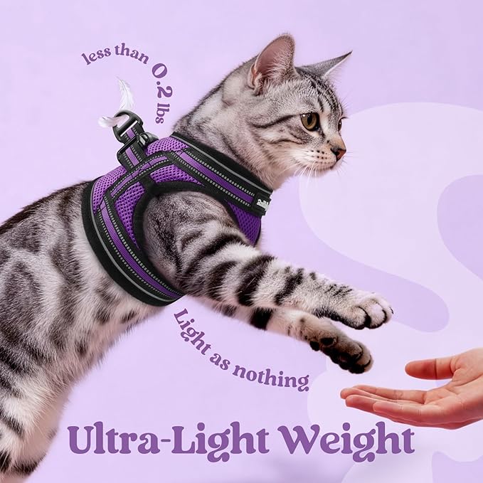 rabbitgoo Cat Harness and Leash Set for Walking Escape Proof, Adjustable Soft Kittens Vest with Reflective Strip for Cats, Comfortable Outdoor Vest, Purple, L