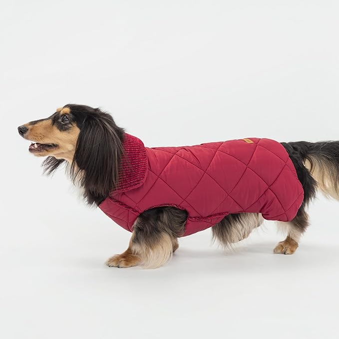 Fitwarm Reversible Quilted Dog Coat, Cozy Winter Clothes for Small Dogs Boy Girl, Windproof Thermal Pet Jacket, Red, Burgundy, XXL