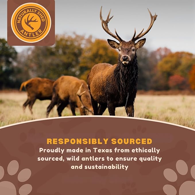WhiteTail Naturals Deer Antlers for Dogs (1 lb Bulk Pack) Premium Antler Chews for Medium to Large Dogs – Grade A, Wild Sourced & Naturally Shed (Approx. 4-5 Count)