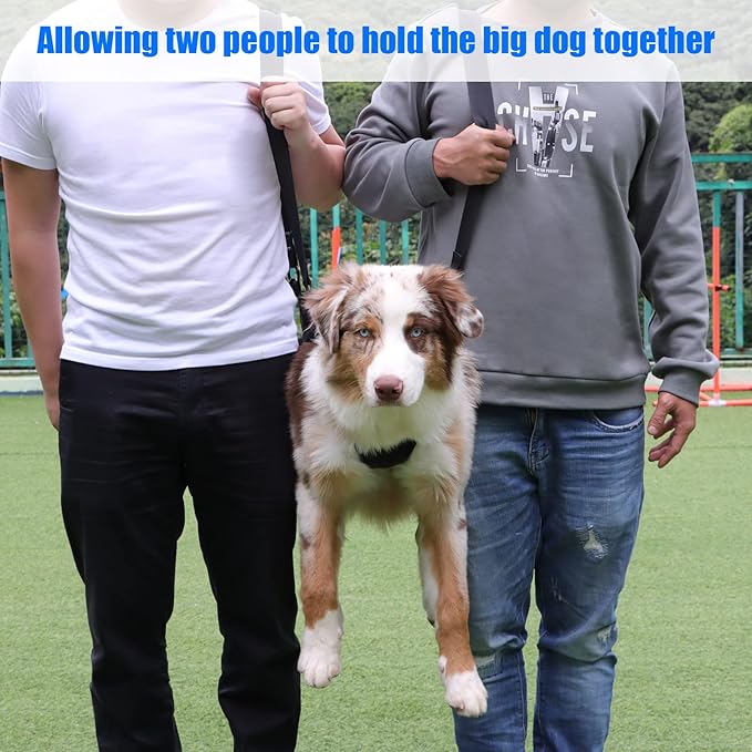 Dog Carry Sling, Emergency Backpack Pet Legs Support & Rehabilitation Dog Lift Harness for Large Dogs, Dog Carrier for Senior Dogs Joint Injuries, Arthritis, Up and Down Stairs (Blue, XXL)