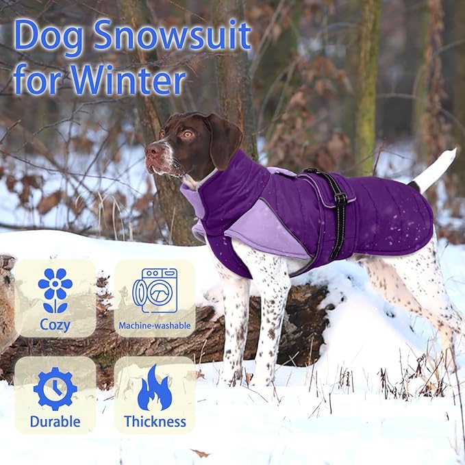 MIGOHI Cozy Small Dog Coat - Reflective Dog Coat for Small Dogs,Fleece Winter Coats Jacket for Dogs with Leash Hole,Snowproof Thick Puppy Clothes,Pomeranian,Chihuahua,XS,Purple