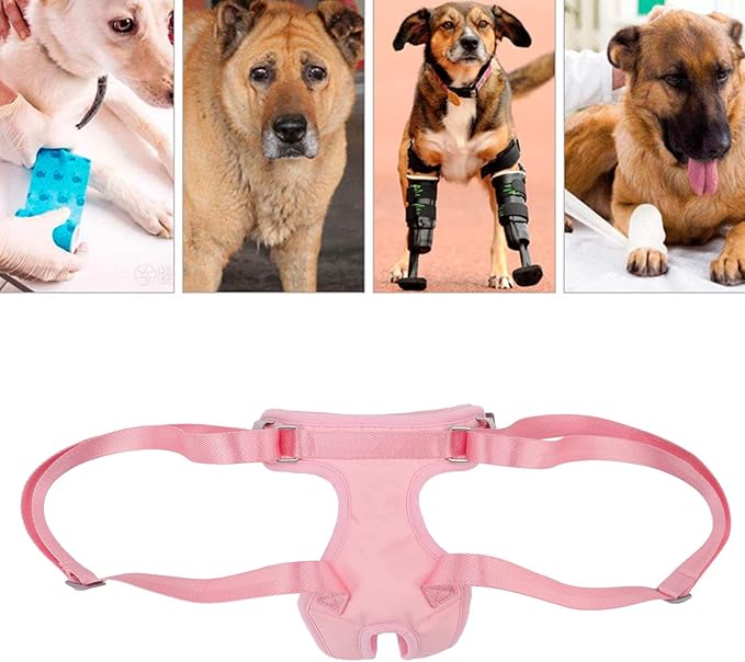 Adjustable Dog Lift Harness, Dog Hind Leg Support Sling Vest with Padded Handle for Senior Disabled Dogs, Removable Cover Mobility Aid for Car and Walk Assistance (XL)