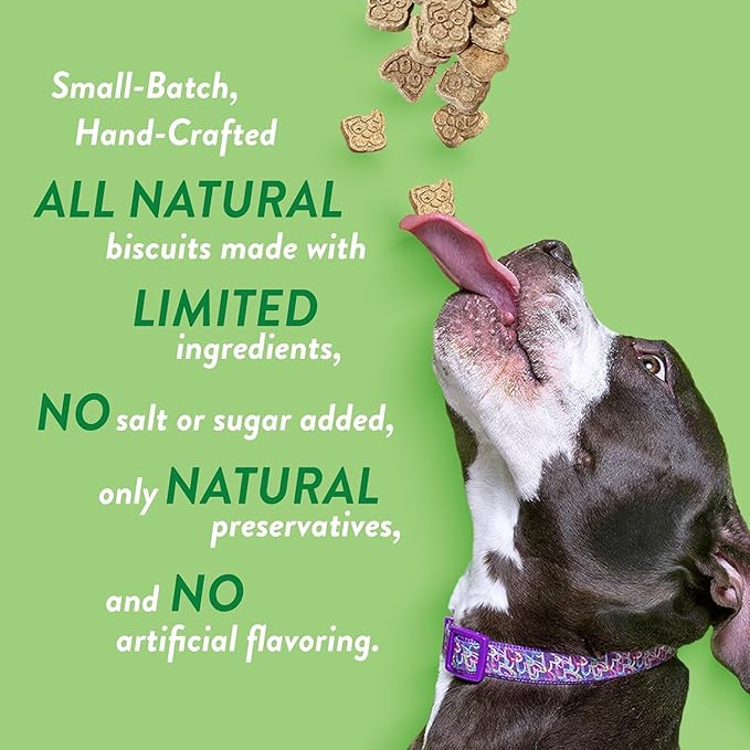 Spunky pup Every Day Biscuit Dog Treats - All-Natural, Handmade in USA, Perfect for Training or Snacking, 4 lb Resealable Bucket- Bucket of Biscuits- Apple Fritter Flavor