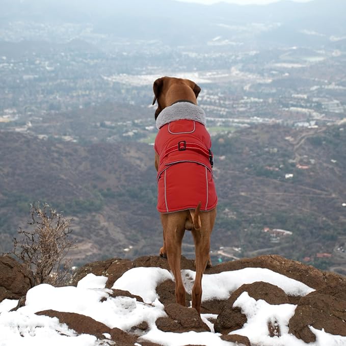 Lelepet Warm Dog Coat - Reflective Waterproof Fleece Vest with Adjustable Buckle Hook & Loop, Windproof Winter Jacket Dog Coats for Small Medium Large Dogs, Red, XXL