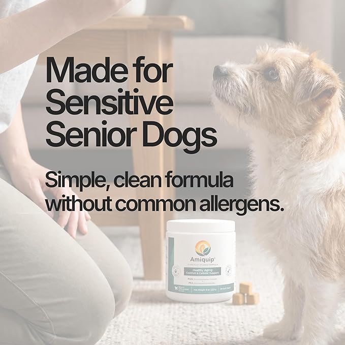 Amiquip® Dog Supplement for Senior Dogs – Longevity, Comfort & Joint Support, Clinically Studied Formula, 90 Soft Chews for Daily Healthy Aging with PQQ & Palmitoylethanolamide