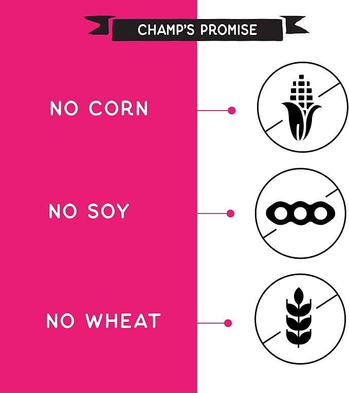 CHAMPS Soft Healthy Dog Treats for Skin & Coat Support Made with Omega 3, Biotin & Flaxseed - Grain Free Salmon - 16 oz