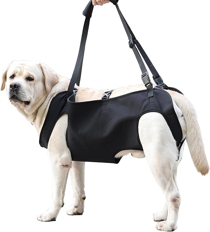 Dog Lift Harness,Full Body Dog Sling Carrier with Handle,Total Body Support for Dogs,Pet Dog Leg Support Sling Adjustable Retractable Breathable Lift Harness (S)