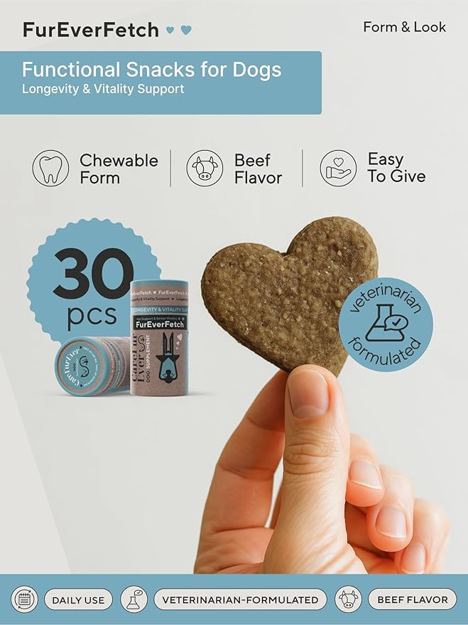 Senior Dogs Cognitive Support | Premium Canine Longevity Stack | Lion's Mane, Turkey Tail & Phosphatidylserine | Biohacking Brain Health Formula | Beef Flavor