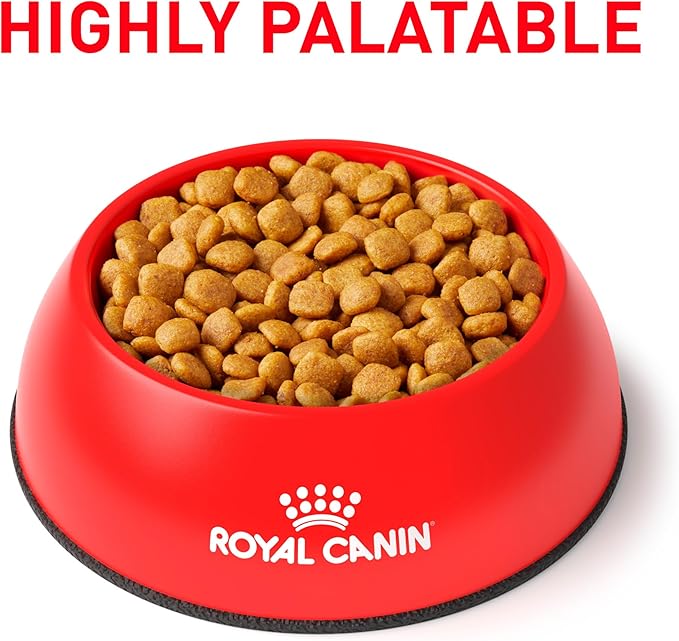 Royal Canin Veterinary Diet Canine Urinary SO Aging 7+ Adult Dry Dog Food, 17.6 lb Bag