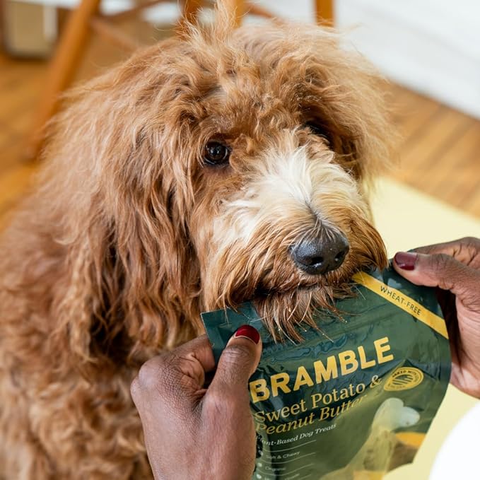 BRAMBLE Organic Dog Treats. Everyday Sweet Potato & Peanut Butter Human Grade Treats, Made with Real Ingredients, Soft & Chewy Dog Cookies. Wheat-Free Plant-Based. 8 oz