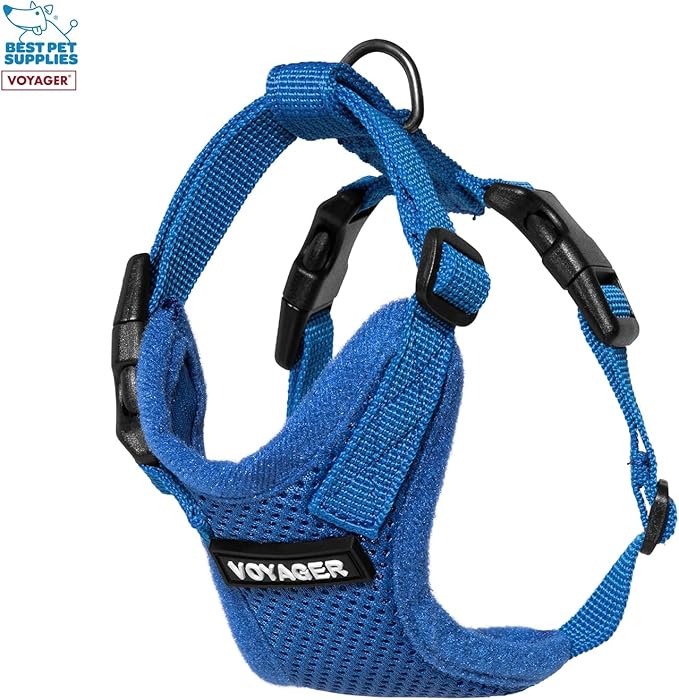 Best Pet Supplies Voyager Step-in Lock Pet Harness w Reflective Pet Leash Combo Set with Neoprene Handle 5ft - Supports Small, Medium and Large Breed Puppies/Cats - Royal Blue, XXXS