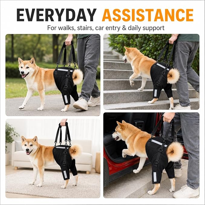 Dog Rear Leg Support Harness, Breathable Lift Assist for Large Dogs, Reflective Strips, Padded Handle for Stairs, Car Entry & Night Walks(XL)