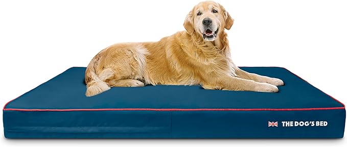 The Dog’s Bed Orthopedic Memory Foam Dog Bed for XXXL Dogs, Waterproof Washable Cover, Anti-Slip Base, Calming Surface – CertiPUR-Certified Foam, Blue with Red Trim, 6 Inch Thick