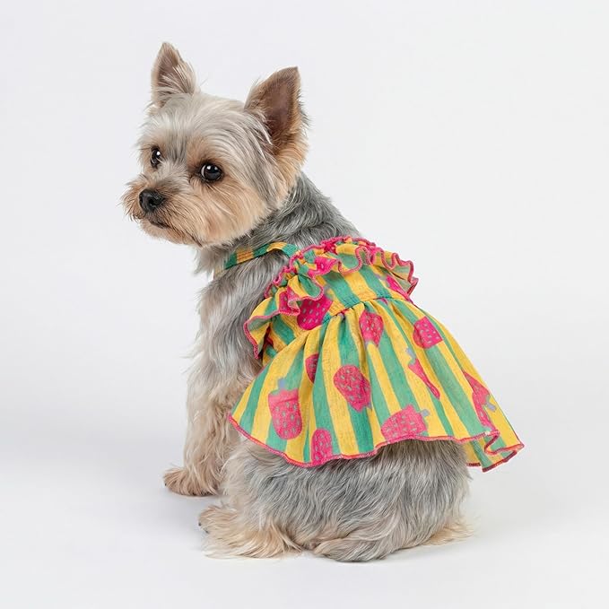 Fitwarm Strawberry Ice Pop Dog Dress, Striped Summer Dog Clothes for Small Dogs Girl, Pet Outfit, Green, Yellow, Light Pink, Small