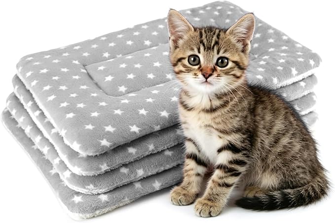 4 Pack Cat Bed Mat, 19" x 13" Soft Fluffy Flannel Small Pet Blanket, Washable Sleeping Pad for Indoor Cats, Kittens, Puppies, Star Print - Grey