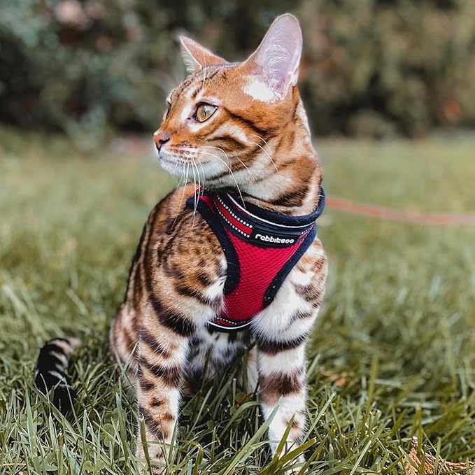 rabbitgoo Cat Harness and Leash Set for Walking Escape Proof, Adjustable Soft Kittens Vest with Reflective Strip for Cats, Comfortable Outdoor Vest, Red, L