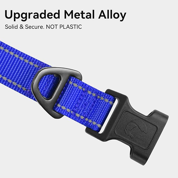 Joytale Reflective Dog Collar, Soft Neoprene Padded, Metal D-Ring, Nylon Pet Collar Adjustable for Extra Large Dogs, Royal Blue, XL