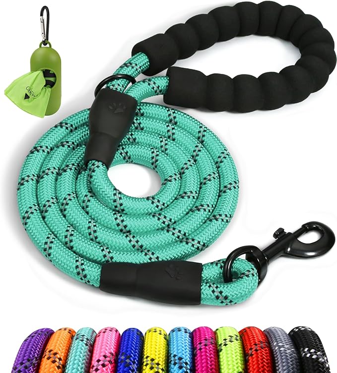 Taglory Rope Dog Leash 5 FT with Comfortable Padded Handle, Highly Reflective Threads Leash and Anti-Tangle Clip for Walking Medium Large Dogs, 1/2 inch, Turquoise