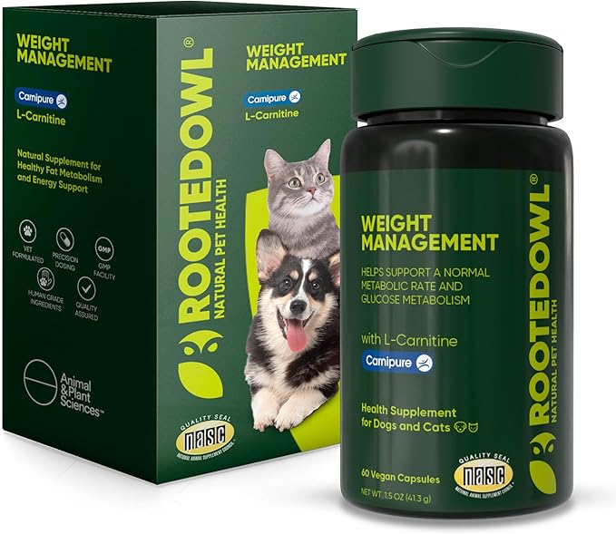 Rooted Owl Metabolism Support - L-Carnitine Supplement for Dogs and Cats to Support Healthy Weight - Dog and Cat Supplement - 60/ct