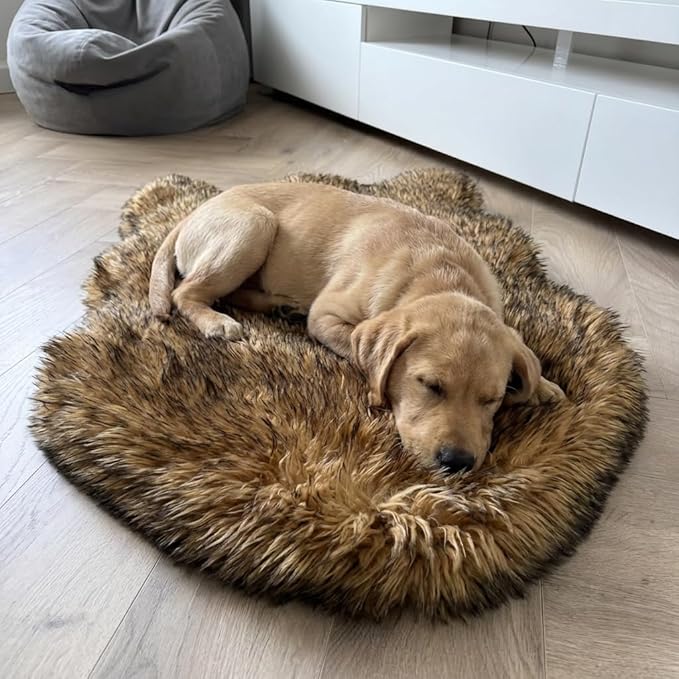 IHAPPYDOG Luxury Faux Fur Orthopedic Dog Bed, Memory Foam Dog Bed for Small, Medium, Large and XL Pets, Fluffy Pet Rug with Waterproof and Washable Cover (Brown, 30"x20")
