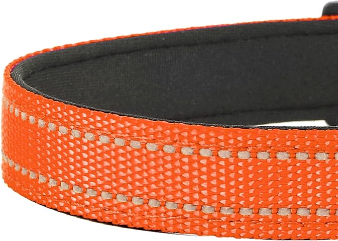Reflective Dog Collar, Adjustable Soft Neoprene Padded Nylon Pet Collars with Buckle for Small Dogs, Orange,S