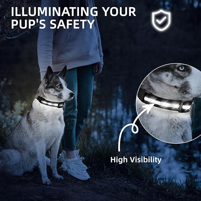Super Bright LED Dog Collar - Fully Waterproof & Adjustable Glow Collar - USB-C Rechargeable for Night Walking, Safety - Flashing Lighted Collar for Dogs(White,S)
