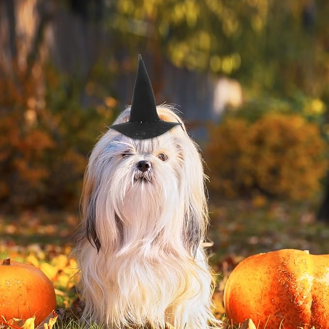 BESTOYARD Halloween Pet Hat Witch Hat for Dogs and Cats Adjustable Pet Headwear Reusable Washable Halloween Costume Accessory for Pets Party Cosplay