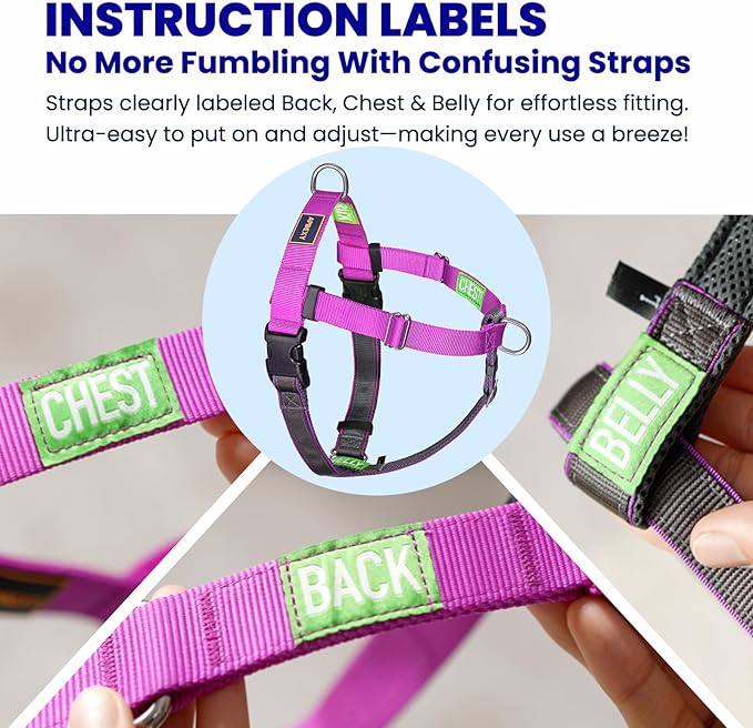 Freedom No Pull Dog Harness, Easy Walk with Front Clip, Two Stainless D-Rings, Sewn-in Instructions Tags for Easy Use, for Medium/Large Dogs Weight 40-60 lbs (Purple, Med/Large)