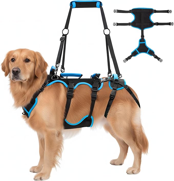 Dog Lift Harness for Large Dogs, 2-in-1 Detachable Full Body Support Acl Dog Sling Carrier with 4 Handles, Hind Assist Back Leg for Senior, Disabled, Arthritic & Post-surgery Canines(X-Large)