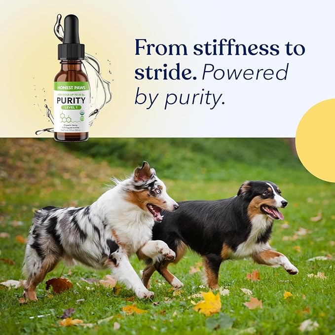 Honest Paws Hemp Oil for Dogs - Natural Hemp Seed Oil Calming Purity Drops for Dogs - Rich in Omega 3 6 9 to Promote Healthy Bones, Joint Support, Relaxation, Managing Normal Stress - Made in The USA