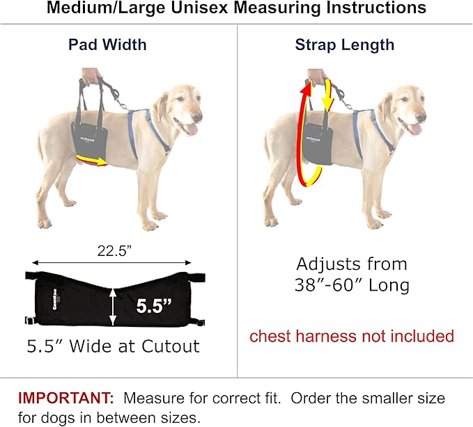 GINGERLEAD Dog Rear Support Sling Harness, M/LG Unisex with Cutout Fits Male & Female Dogs. Padded Hip Lifting Aid Helps Old Pets Walk, K9s Recover from TPLO Surgery. Integrated Leash. Made in U.S.A.