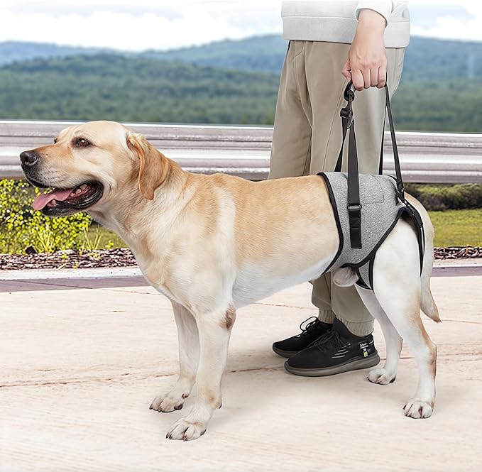 Dog Rear Leg Mobility Aid Lifting Harness Machine Washable Polyester Comfortable Body for Senior Breeds Adjustable Pet Harness