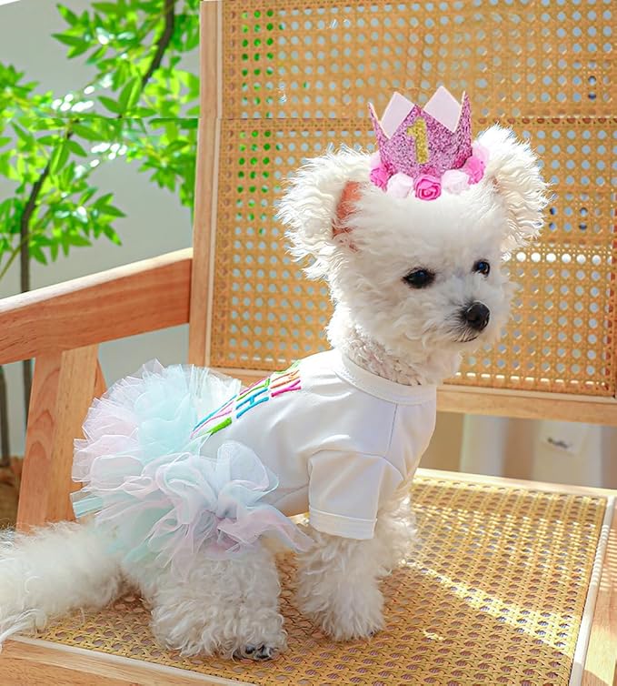 ANIAC Dog Birthday Dress and Hat Set Puppy Lace Tutu Pink Pet Crown Hat with 0-9 Figures Birthday Outfit for Cats Small Dog (White+Pink,Medium)