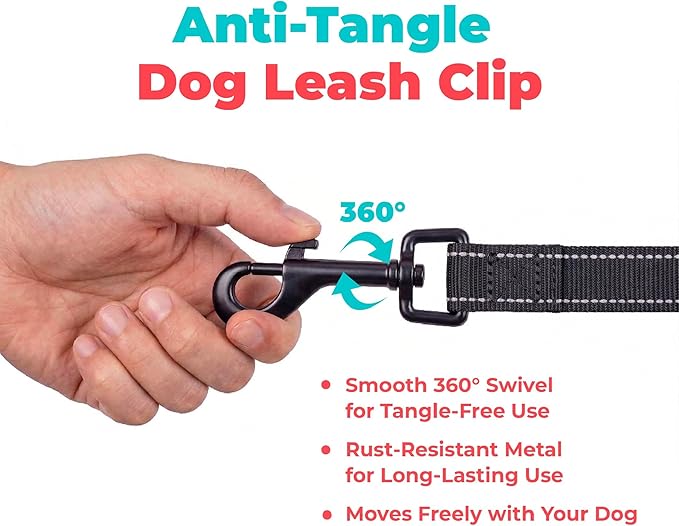 Best Pet Supplies Voyager Reflective Dog Leash or Collar with Neoprene Handle, for Small, Medium, and Large Breed Puppies, Cute and Heavy Duty for Walking, Running and Training - Black (Leash), M
