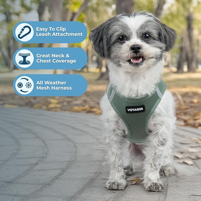 Best Pet Supplies Voyager Step-in Air Harness - All Weather Mesh, Reflective, No Pull Harness for Dogs, Cats - Secure with Hook & Loop Fastener, Buckle, Double D-Rings - Moss Green, M