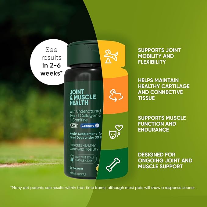 Rooted Owl Joint and Muscle Support for Cats and Small Dogs (Under 30 Lbs) - Supplement with UC-II Type II Collagen and L-Carnitine - 30 Count