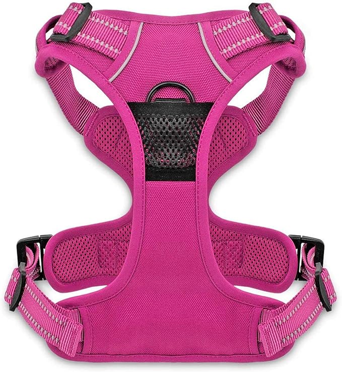 Voyager Dog Harness Dual Leash Attachment No-Pull Control Adjustable Soft but Strong Pet Harness for Medium and Large Dogs with 3M Reflective Technology, Fuchsia Nylon, XS (Chest: 13-16")