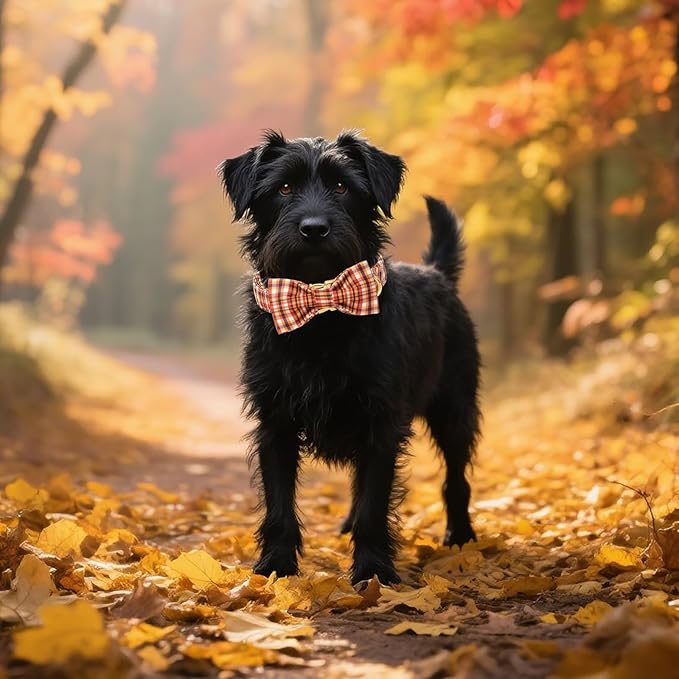 Unique style paws Cotton Dog Collar with Bow Autumn Puppy Collar with Colorful Orange Grid for Small Medium Large Boys Girls Dogs