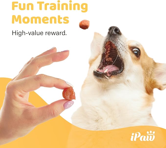 iPaw 2 Saver Combo Chicken Tots Dog Treats for Puppy Training, All Natural Human Grade Dog Treat, Hypoallergenic, Easy to Digest (Chicken Tots), 2 Packs